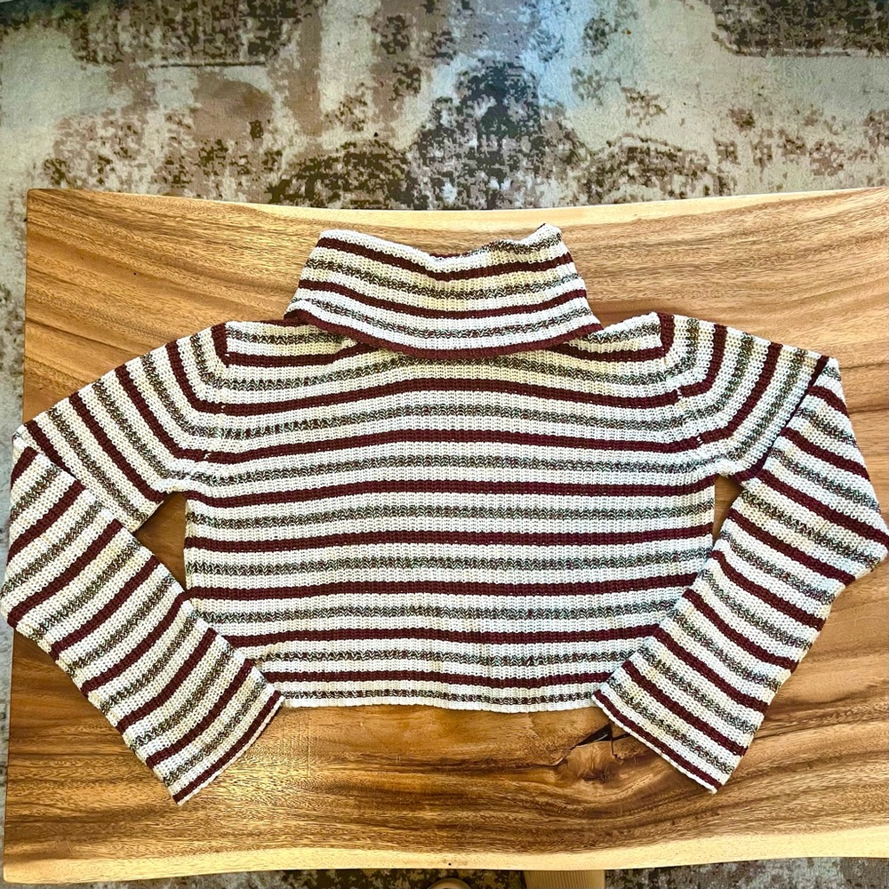 Cropped Turtleneck Sweater with Stripes